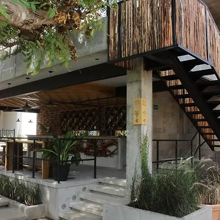 Quinta San Vicente Hotel & Hostal-3